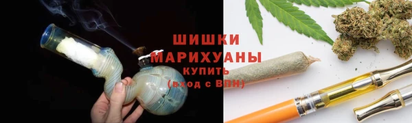 шишки Богданович