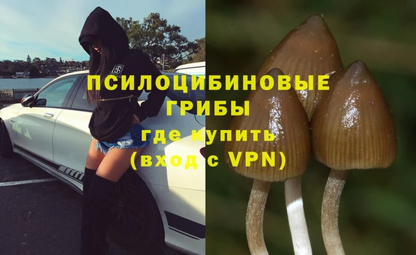 хмурый Богородицк